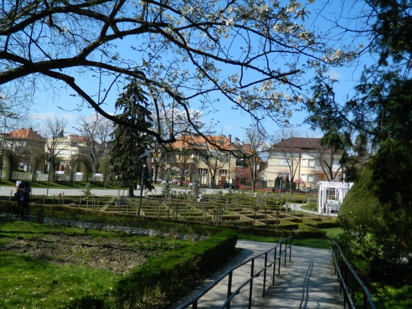  - 2017 TIMISOARA PRIMAVARA