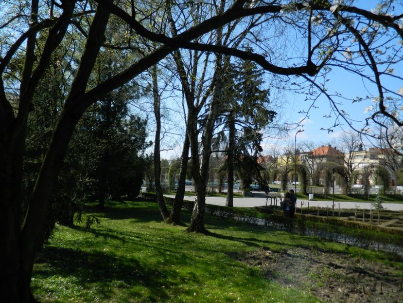  - 2017 TIMISOARA PRIMAVARA