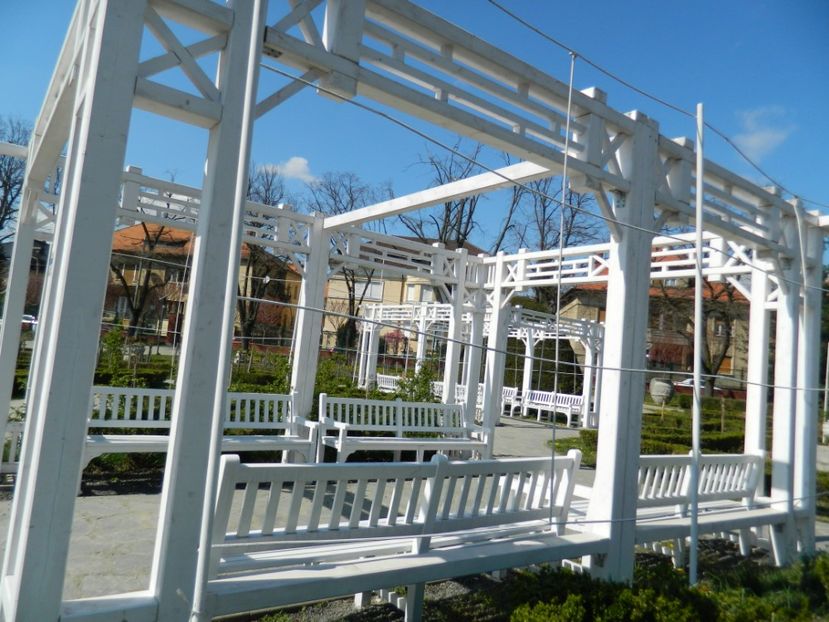  - 2017 TIMISOARA PRIMAVARA