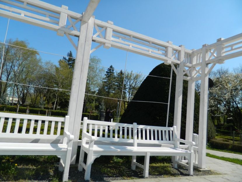  - 2017 TIMISOARA PRIMAVARA