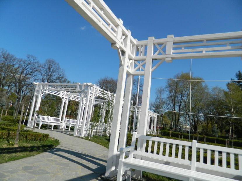  - 2017 TIMISOARA PRIMAVARA