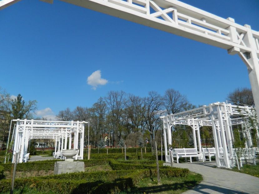  - 2017 TIMISOARA PRIMAVARA