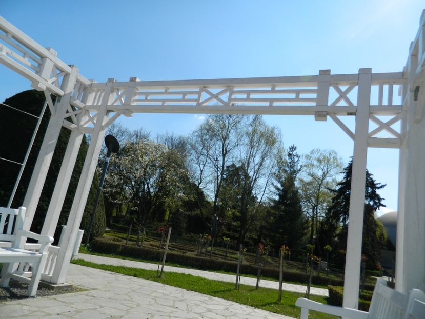  - 2017 TIMISOARA PRIMAVARA