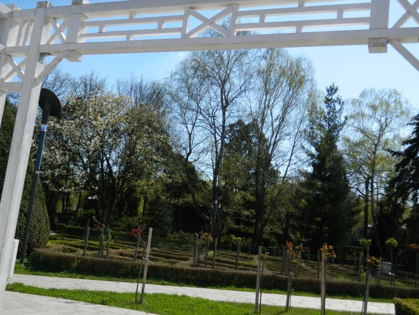  - 2017 TIMISOARA PRIMAVARA