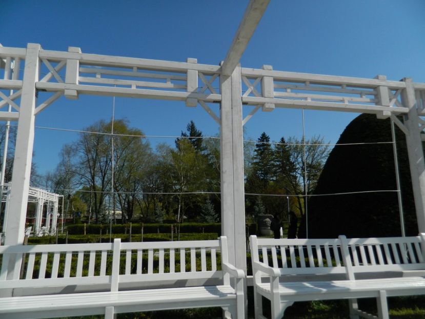  - 2017 TIMISOARA PRIMAVARA