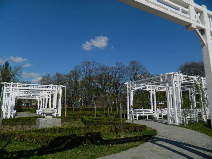  - 2017 TIMISOARA PRIMAVARA