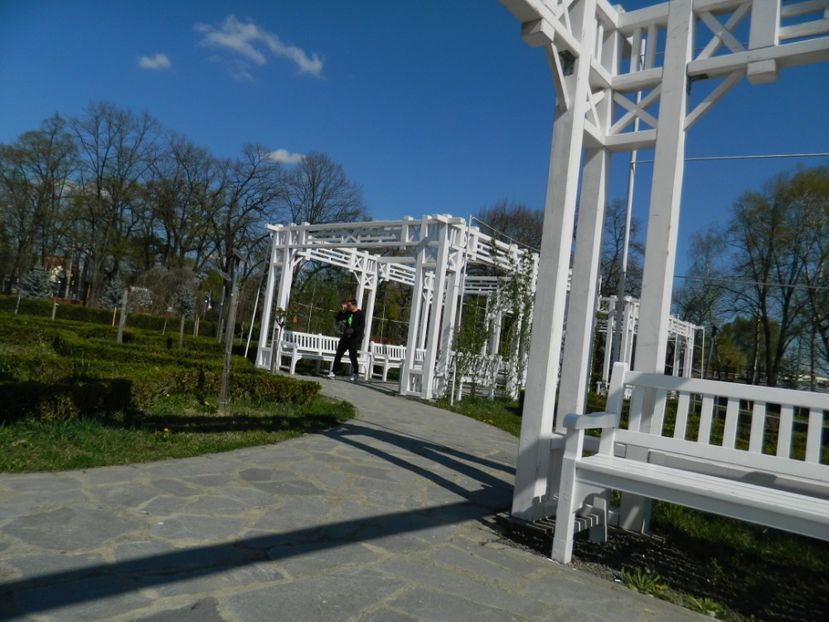  - 2017 TIMISOARA PRIMAVARA