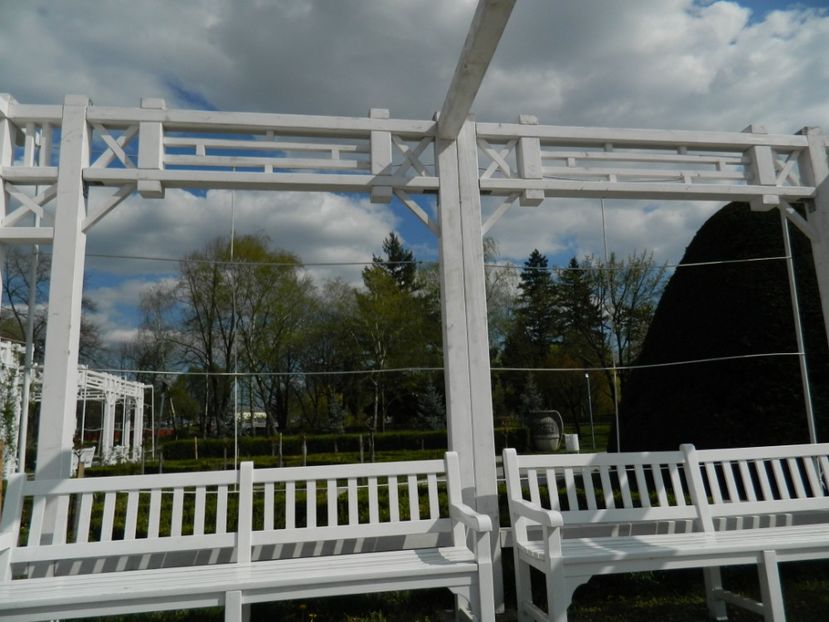  - 2017 TIMISOARA PRIMAVARA