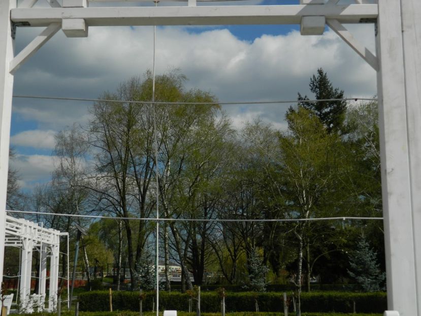  - 2017 TIMISOARA PRIMAVARA