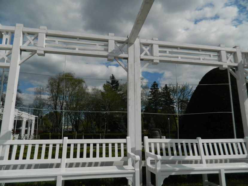  - 2017 TIMISOARA PRIMAVARA