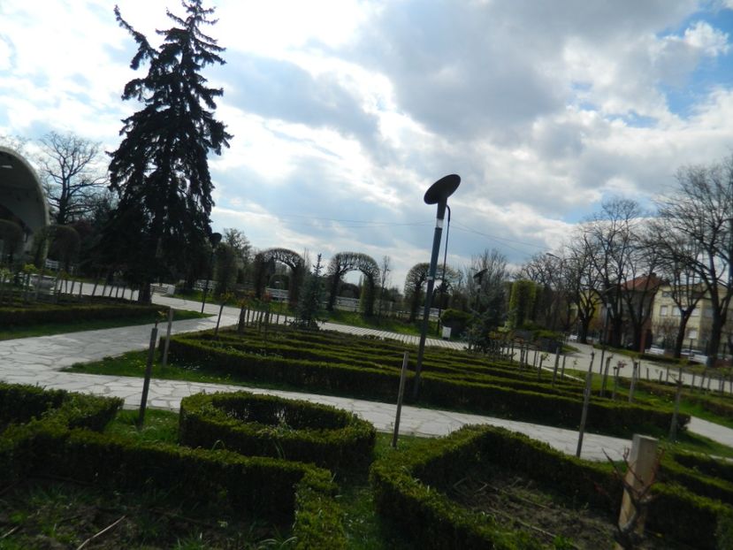  - 2017 TIMISOARA PRIMAVARA