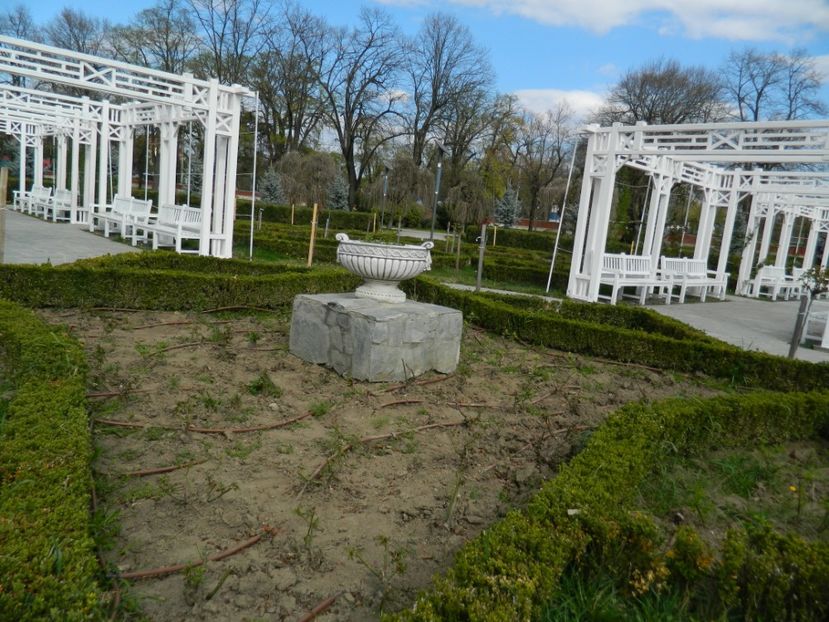  - 2017 TIMISOARA PRIMAVARA