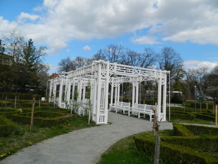  - 2017 TIMISOARA PRIMAVARA