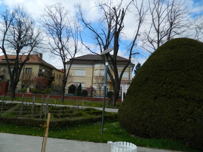  - 2017 TIMISOARA PRIMAVARA