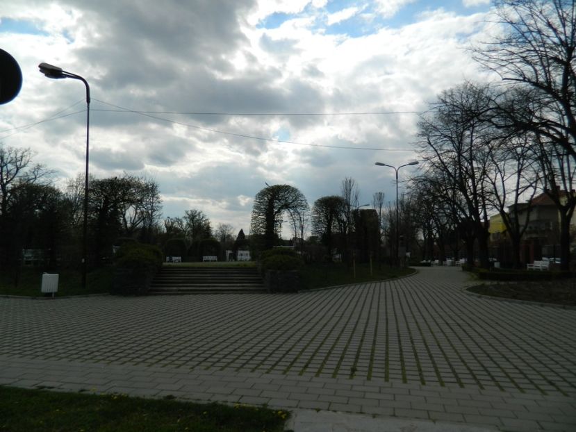  - 2017 TIMISOARA PRIMAVARA