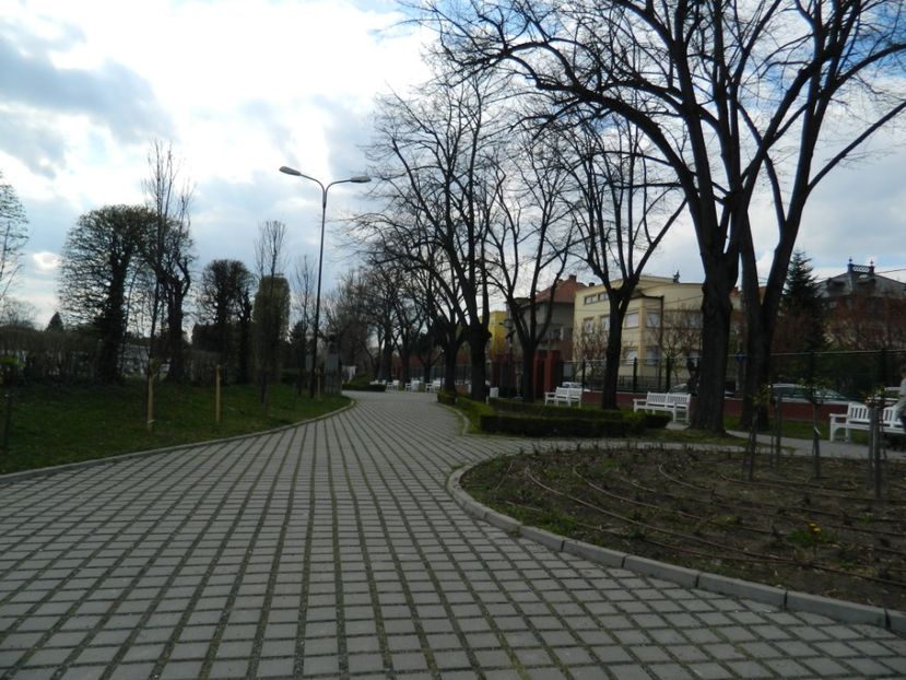  - 2017 TIMISOARA PRIMAVARA