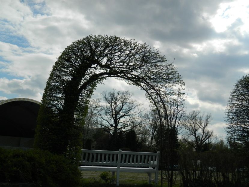  - 2017 TIMISOARA PRIMAVARA