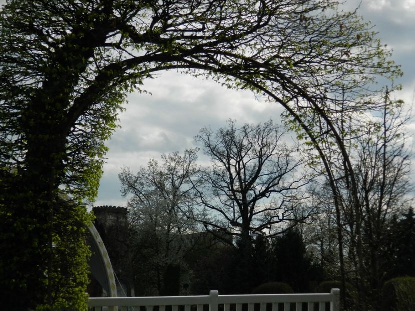  - 2017 TIMISOARA PRIMAVARA