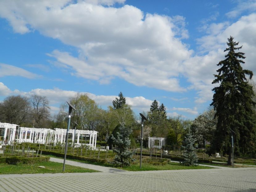  - 2017 TIMISOARA PRIMAVARA