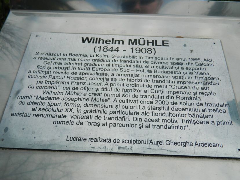  - 2017 TIMISOARA PRIMAVARA