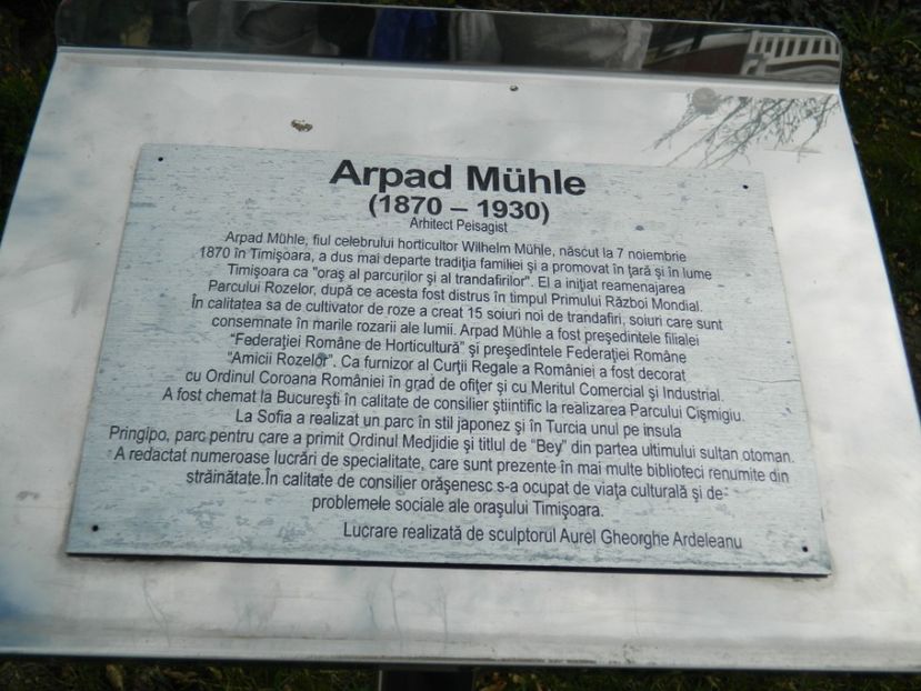  - 2017 TIMISOARA PRIMAVARA