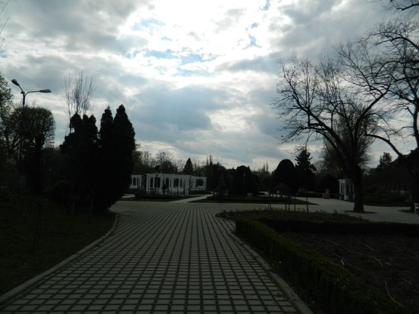  - 2017 TIMISOARA PRIMAVARA