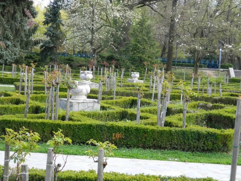  - 2017 TIMISOARA PRIMAVARA