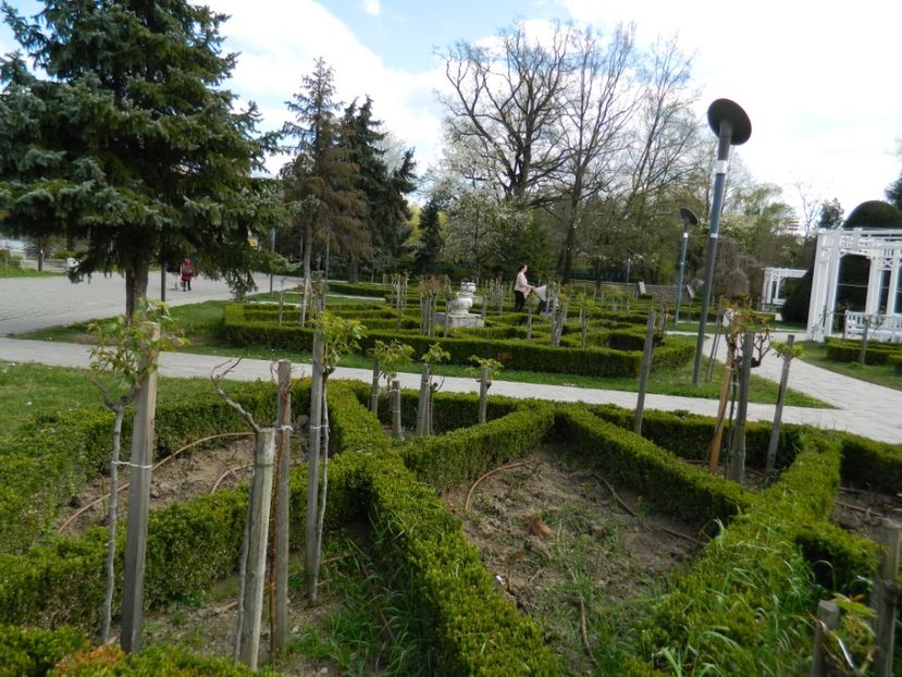  - 2017 TIMISOARA PRIMAVARA