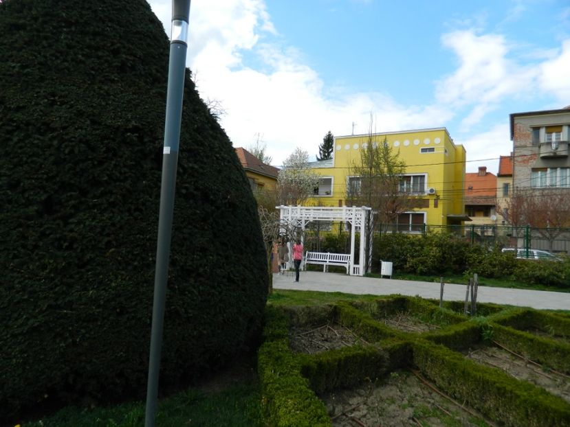  - 2017 TIMISOARA PRIMAVARA