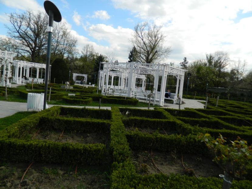  - 2017 TIMISOARA PRIMAVARA