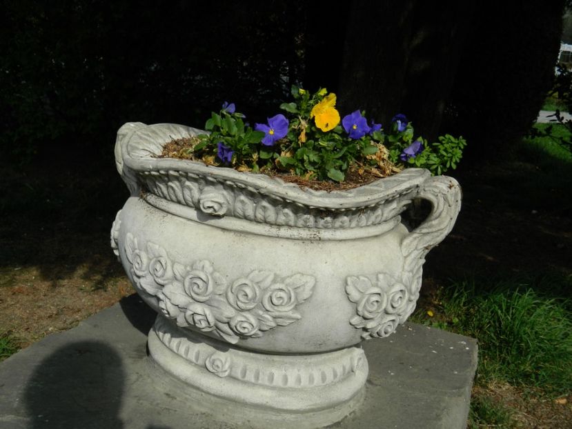  - 2017 TIMISOARA PRIMAVARA