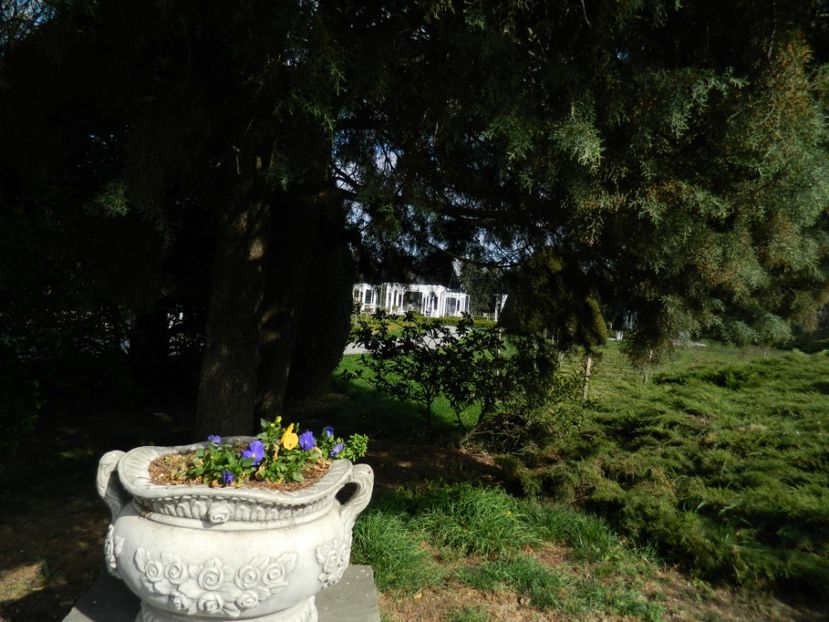  - 2017 TIMISOARA PRIMAVARA