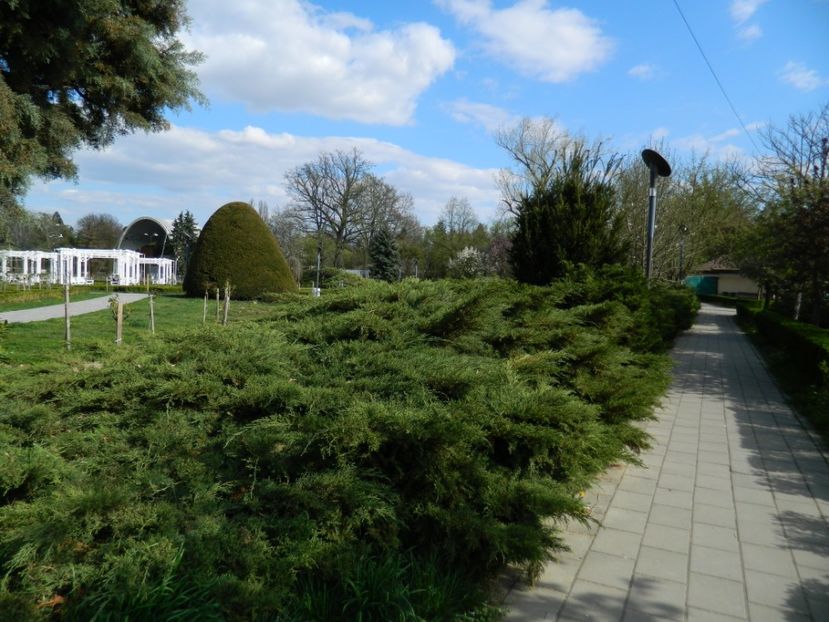  - 2017 TIMISOARA PRIMAVARA