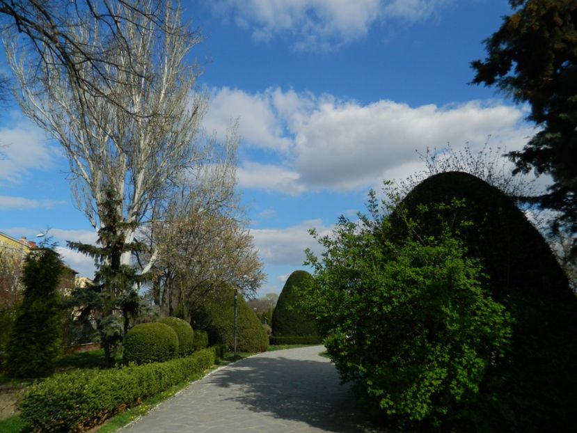  - 2017 TIMISOARA PRIMAVARA