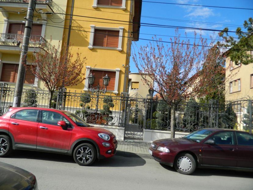  - 2017 TIMISOARA PRIMAVARA