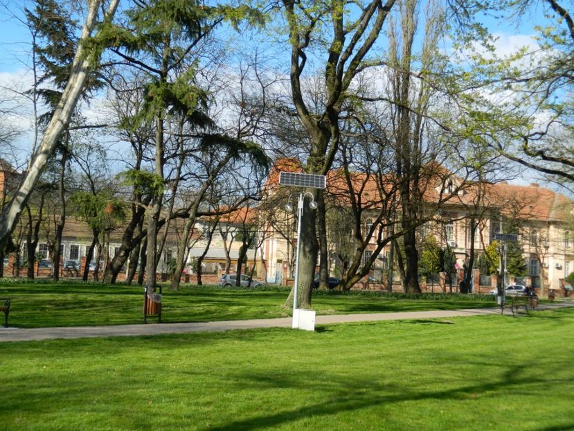  - 2017 TIMISOARA PRIMAVARA