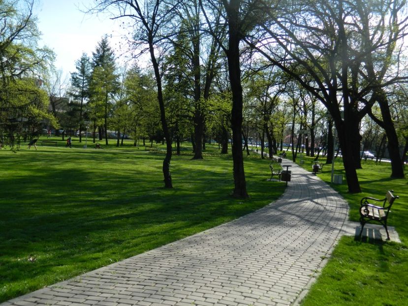  - 2017 TIMISOARA PRIMAVARA