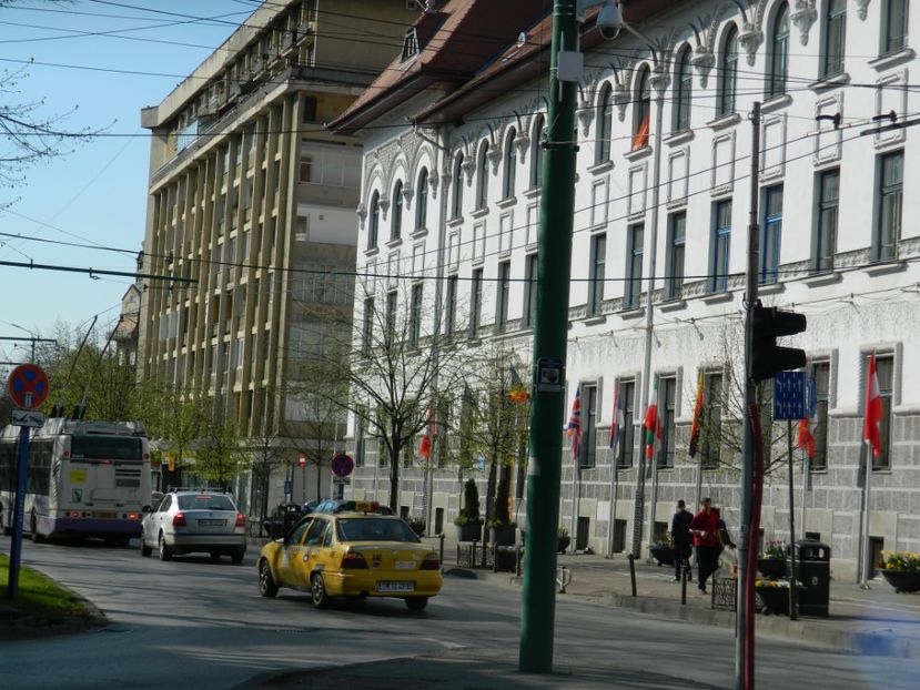  - 2017 TIMISOARA PRIMAVARA