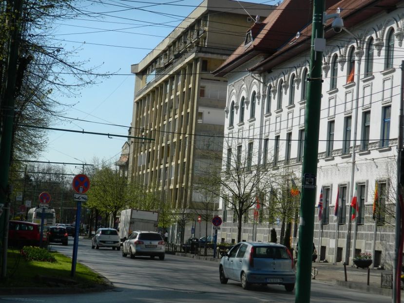  - 2017 TIMISOARA PRIMAVARA