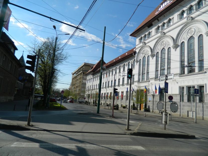  - 2017 TIMISOARA PRIMAVARA