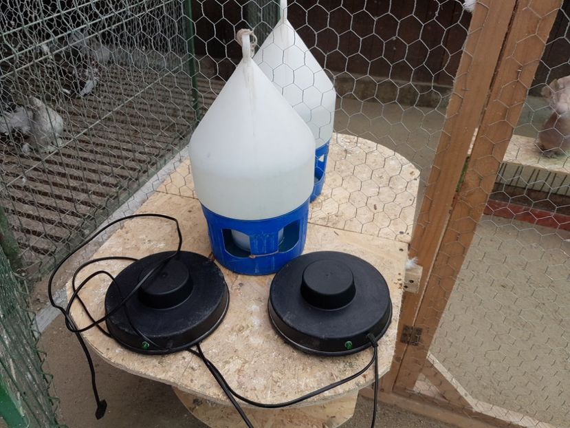  - 7___   VOLIERA MEA