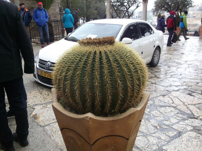  - a cincea zi de pelerinaj