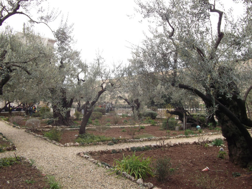 tara sfanta 712 - a cincea zi de pelerinaj