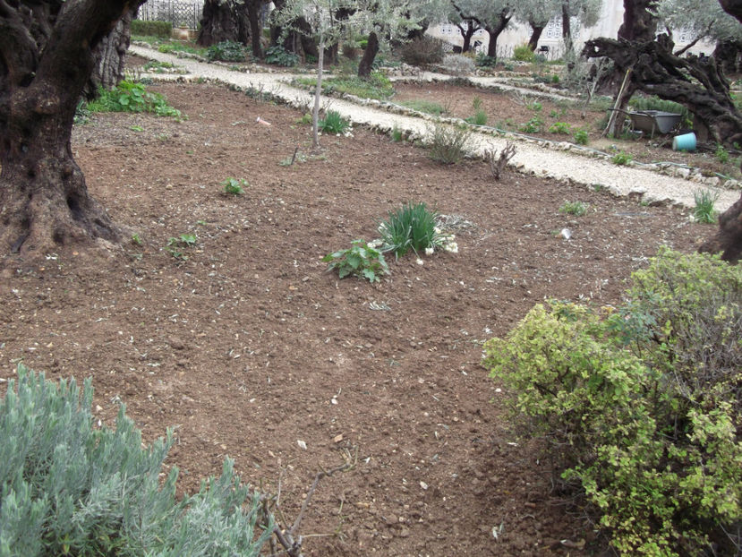 tara sfanta 715 - a cincea zi de pelerinaj