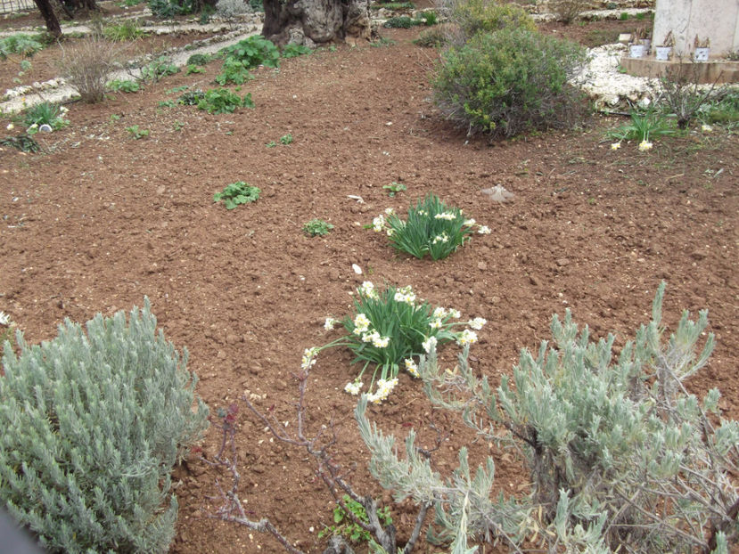 tara sfanta 720 - a cincea zi de pelerinaj