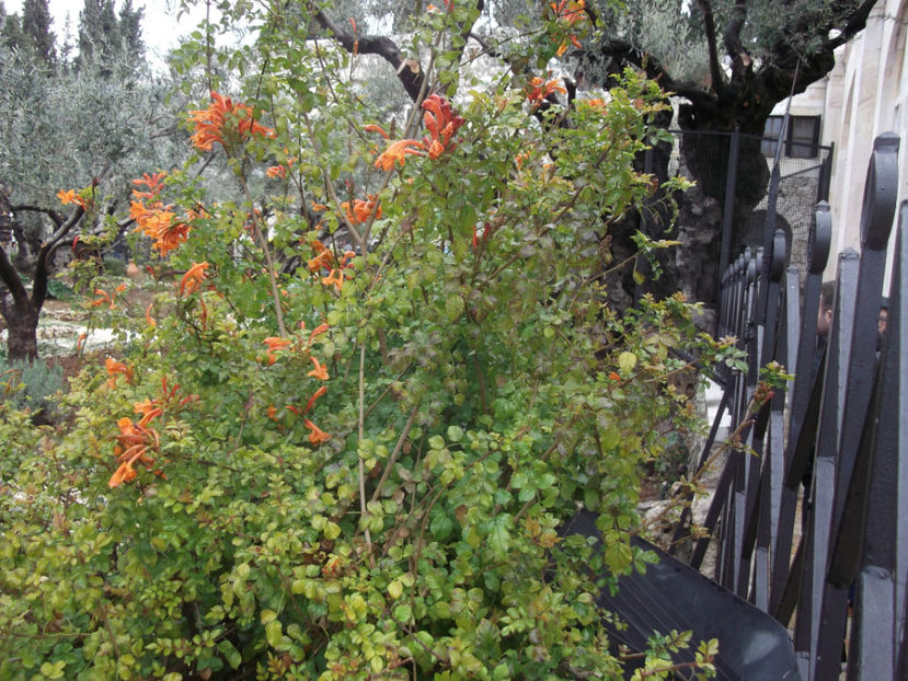 tara sfanta 721 - a cincea zi de pelerinaj