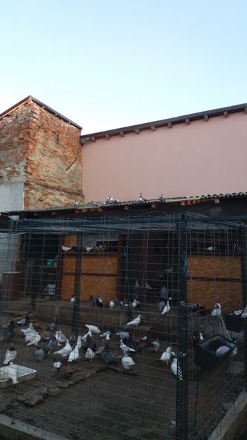  - 23 Vargati romanesti si orbeteni