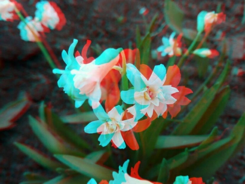  - 3D ANAGLYPH