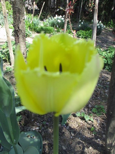  - La tara in aprilie 2017