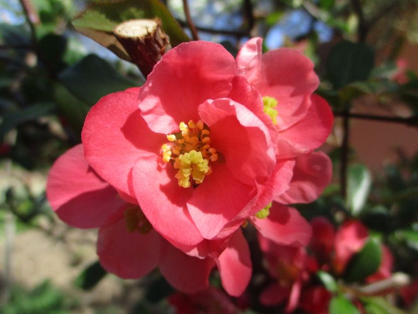  - La tara in aprilie 2017